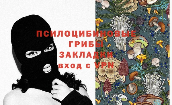 apvp Абаза