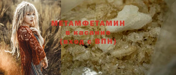прущие грибы Протвино