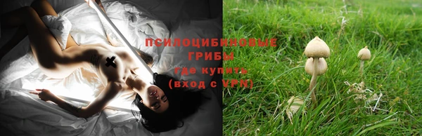 спиды Абдулино